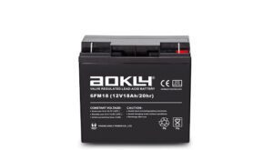 Bateria 18ah 12v Agm Aokly